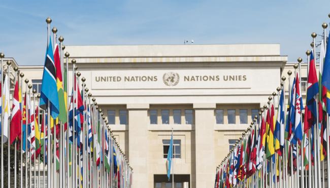 Algorand stijgt hard na nieuws over samenwerking met Verenigde Naties