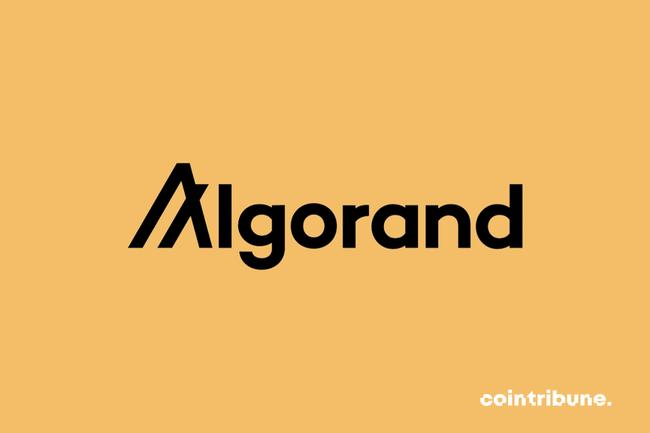 Algorand réussit un coup de maître dans l’écosystème Web3 indien