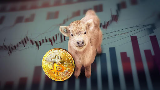 Deze altcoins kunnen volgens analisten beter presteren dan Bitcoin