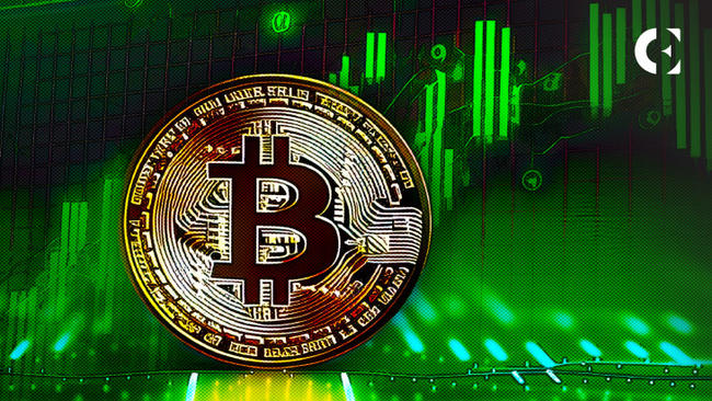 BTC Leads Other Top Cryptos in Relative Pullback From Yearly High