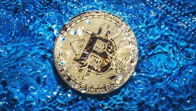 Red de Bitcoin sedienta: 1 piscina por transacción