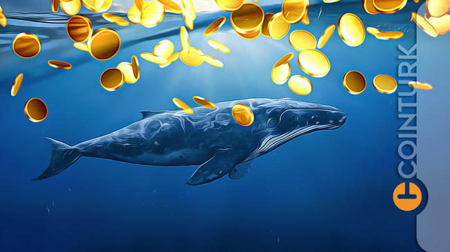 Bitcoin Fiyatındaki Son Yükseliş Bu 2 Altcoin’i Ok Gibi Fırlattı!