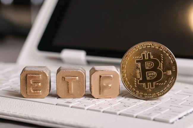 «Los ETF serán la puerta de entrada para la autocustodia de Bitcoin»: CEO de Swan Bitcoin