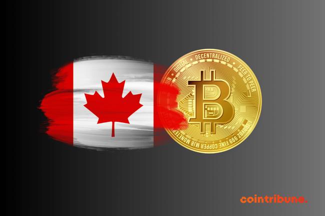 Crypto : Les Canadiens font marche arrière ?