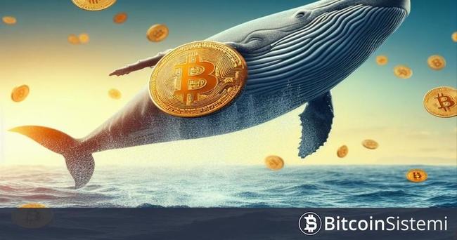 Bitcoin’de Balina Hareketliliği! Dev Balina Kar Satışına Başladı!