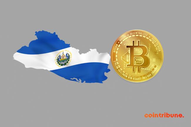 Bitcoin : Le Salvador réalise 2,84 % de profit sur ses investissements !