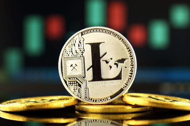 BNB, LTC und Co.: Die Underperformer 2023 als Kaufchance für 2024?