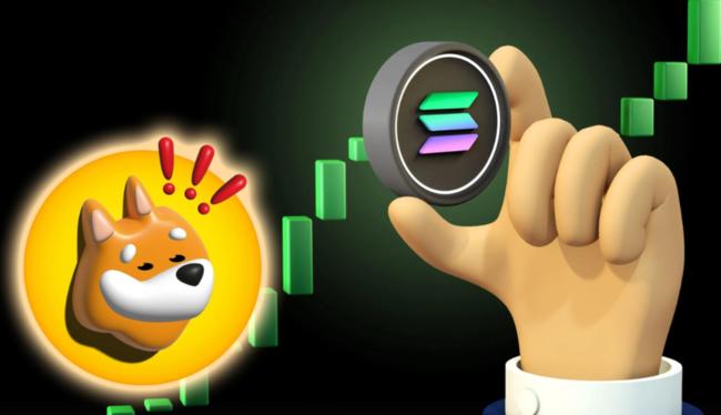 BONK bate novo recorde histórico após decolar 678% no mês