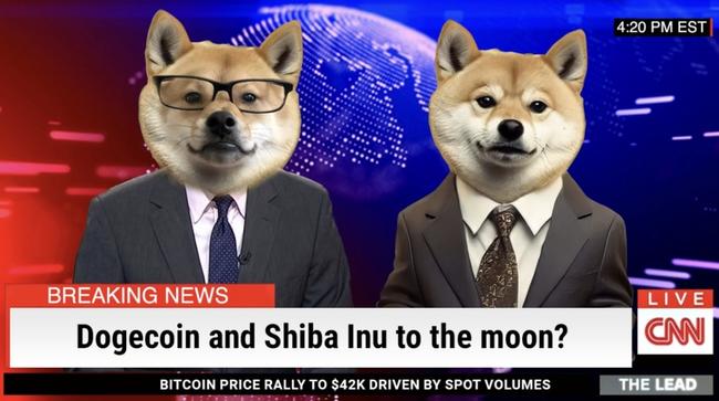 Jak Dogecoin (DOGE) i Shiba Inu (SHIB) zareagują na wzrost Bitcoina?