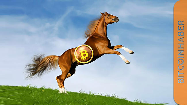 Bitcoin Güçlü Bir Boğa Piyasasının Ortasında Olabilir