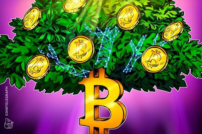 Token de Bitcoin Ordinals supera USD 1,000 millones en capitalización bursátil