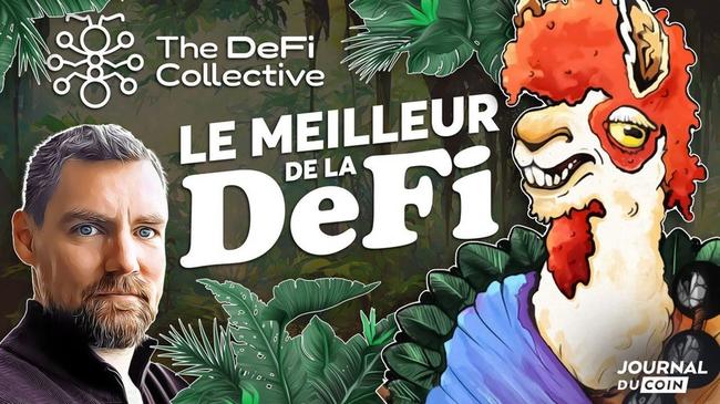 Token Brice : 1ᵉʳ rapport de The DeFi Collective, le meilleur de la DeFi