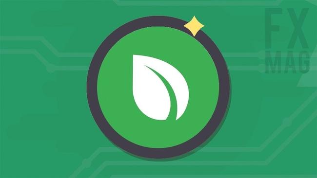 Peercoin (PPC): ¿qué necesitas saber al respecto? Descripción de la criptomoneda, historia, cotización opiniones