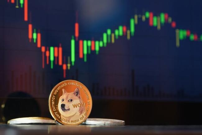 Dogecoin (DOGE) skończył 10 lat! Memecoin wzrósł o 20% w 7 dni