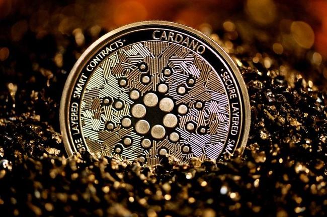 Cardano kan in bullish scenario naar $0,75, aldus analist