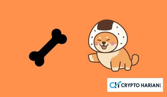 Burning Shiba Inu Melonjak Gila-Gilaan Dalam Seminggu, Ada Apa Nih?