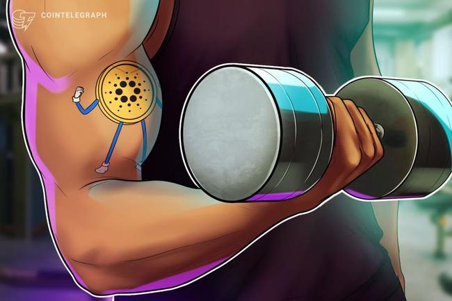 Cardano lider en rendimiento durante la última semana