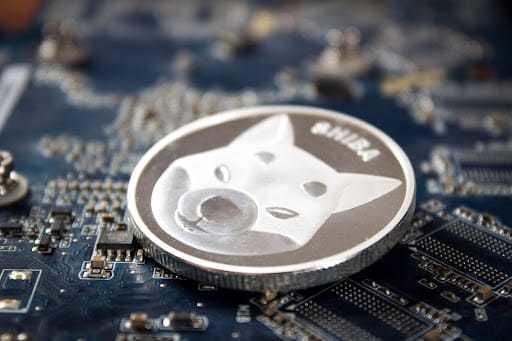 Shiba Inu ha subito un rifiuto del prezzo; Pepe guadagna trazione; gli investitori favoriscono InQubeta, una nuova criptovaluta AI