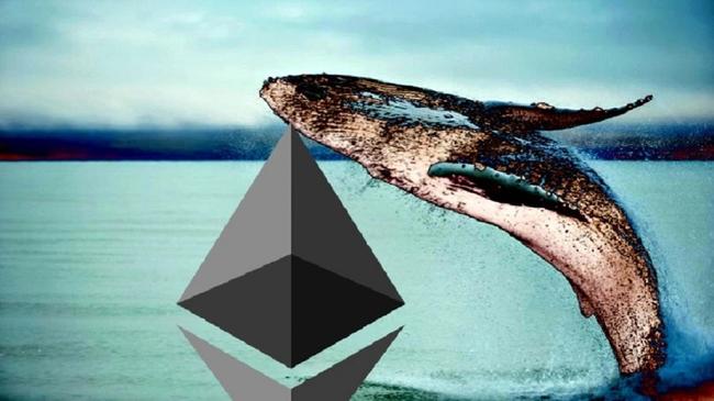 Cá voi Ethereum kiếm được 78 triệu USD lợi nhuận sau khi đầu tư 11 triệu USD