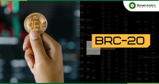 นักพัฒนา Bitcoin Sidechain MVC เตรียมการเปิดตัว BRC-20 DEX ในไตรมาส 1 ปี 2024