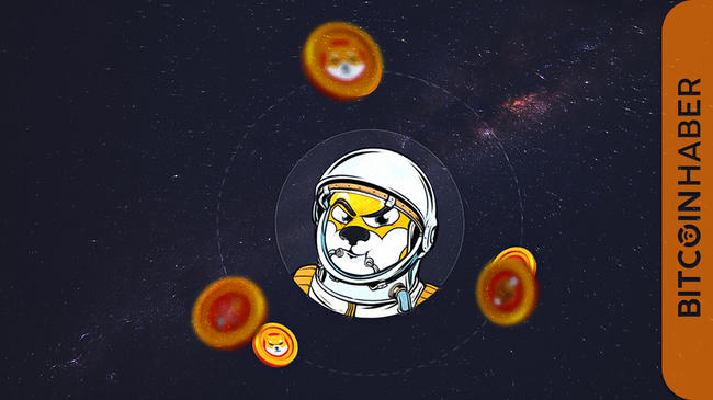 Shiba Inu Yatırımcılarının Zenginlik Sırları Ortaya Çıktı