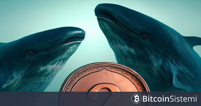 İki Devasa Balina, Ortaklaşa Bir Şekilde Bu Altcoinden Binance’e Yüklü Transfer Yaptı