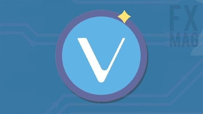 VeChain (VET): ¿qué necesitas saber sobre VeChain? Descripción de la criptomoneda, historia, opiniones