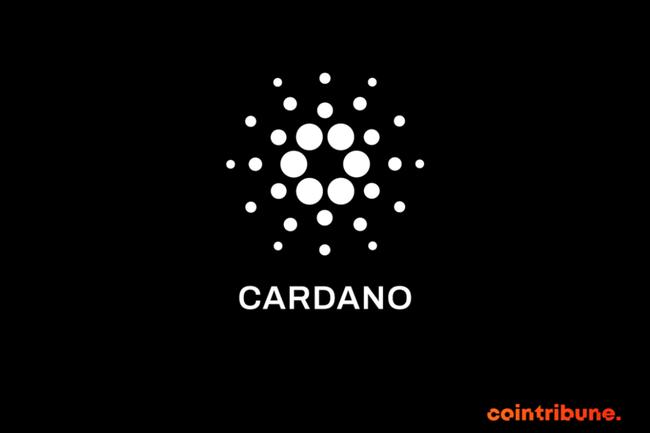 L’ADA de Cardano brille : La crypto réalise une performance hebdomadaire record