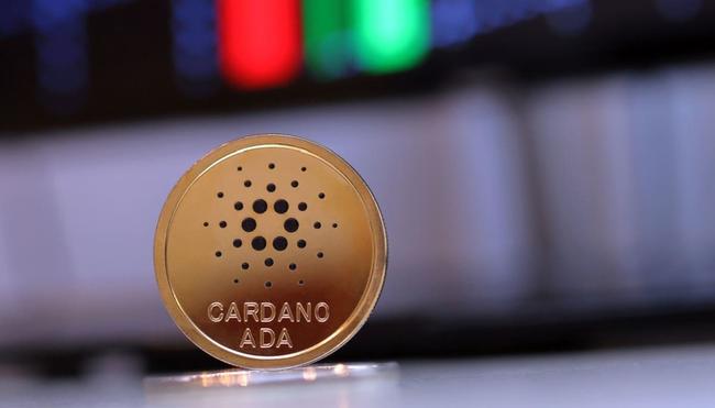 Cardano ecosysteem bloeit op met diverse nieuwe projecten
