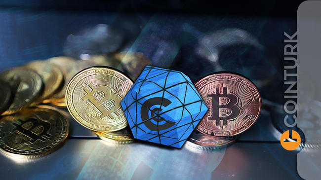 Gizemli Trader Bitcoin Ve Bu Altcoin’lere Daldı! Çarpıcı Sonuç
