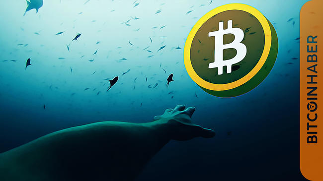 Kripto Para Piyasaları Neden Düşüyor?