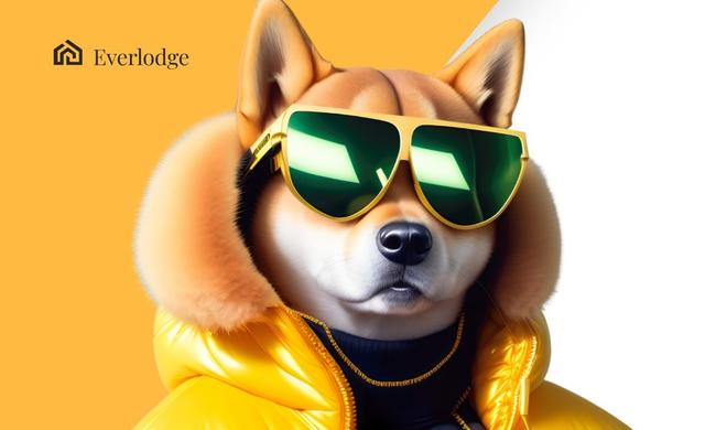 Jamie Dimon critica las criptomonedas: Shiba Inu, Binance y Everlodge experimentan un aumento de valor