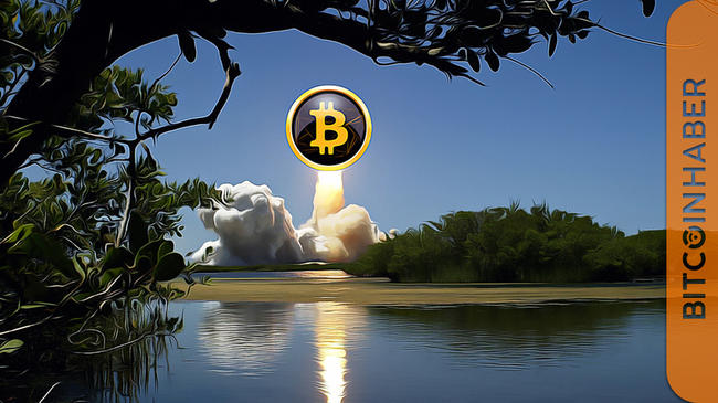 Kripto Piyasalarında Büyük Değer Kaybı