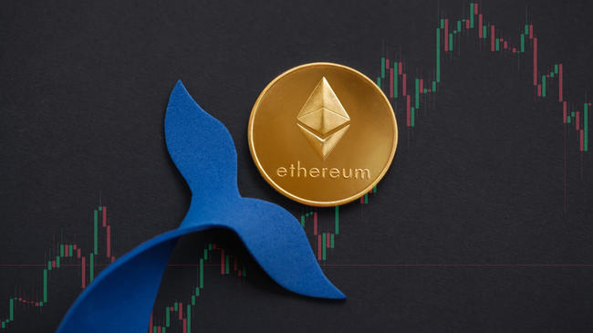 Balina Düşüş İle Ethereum Almaya Başladı: Binance’e 55 Milyon Dolarlık Transfer!