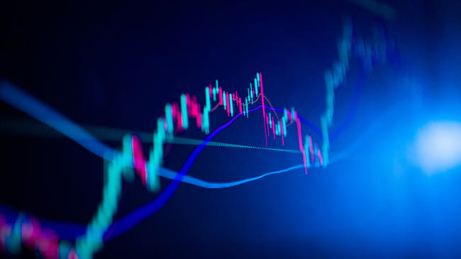 Kryptofonds im Wert von 500 Millionen US-Dollar betrachtet Animoca Brands und Chainalysis