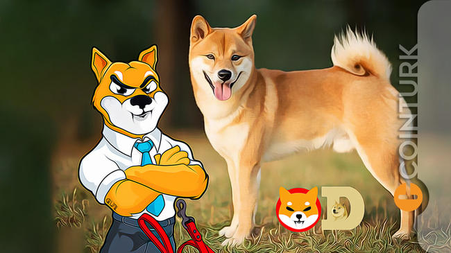 SHIB, Pepe ve Doge’u Geride Bıraktı: Üç Ayda Yüzde 6215 Yükselen Memecoin Yoluna Devam Ediyor