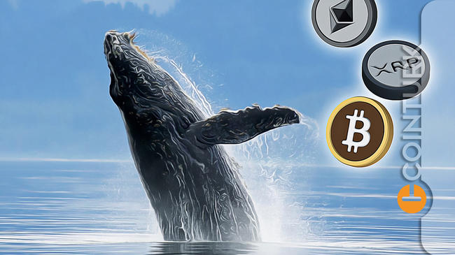 LUNC Fiyatı Eğer BTC İzin Verirse Bu Hafta Kritik Bölgeye Ulaşabilir