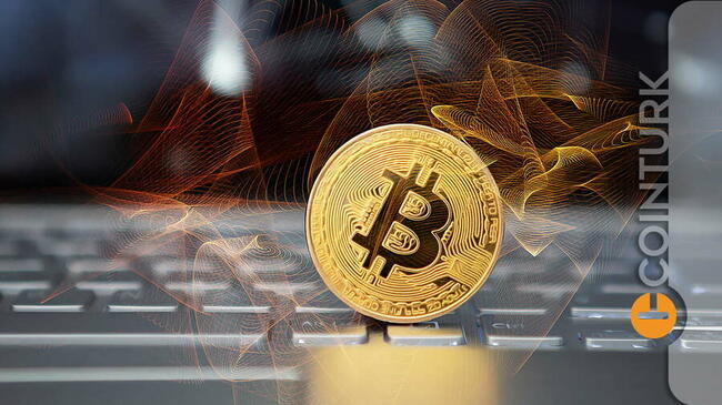 Bitcoin Fiyatı Zirveye Giderken Büyük Eller Birikime Devam Ediyor