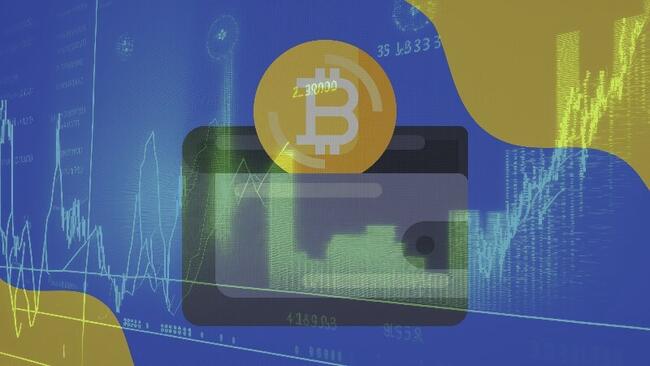 Rekordszintű Bitcoin-felhalmozás a nagyhalak tárcáiban