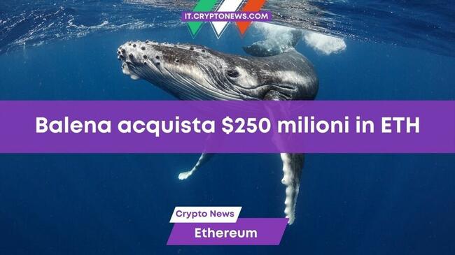 Una misteriosa balena acquista oltre $250 milioni in Ethereum in 4 giorni
