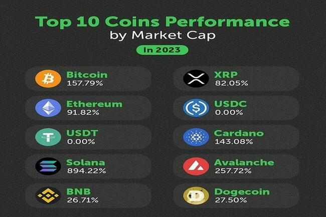 Le performance delle 10 top coin per market cap