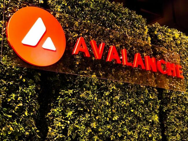 JUST IN!  Avalanche (AVAX) Network is experiencing an outage!