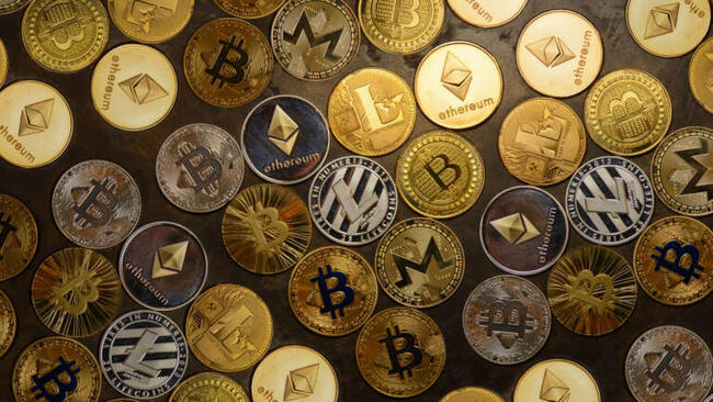 Bitcoin ve Altcoinler Ne Durumda: Piyasalara Genel Bakış (24 Şubat)