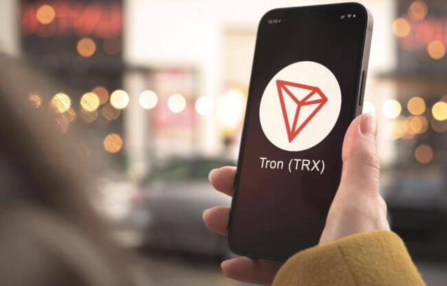 TRON ve Filecoin Güçlü Kazançlar Gösterdi, Borroe Finance Ön Satışı  