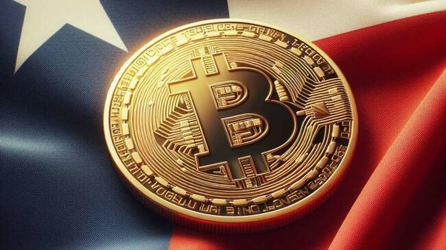 Coinbase выяснил, что избиратели Техаса считают криптовалюту актуальной темой для следующих выборов