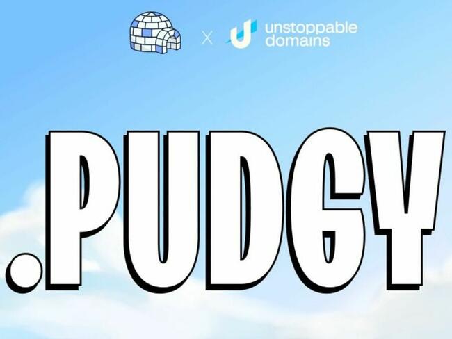 Pudgy Penguins 推出自家域名 .pudgy 以提升品牌影響力