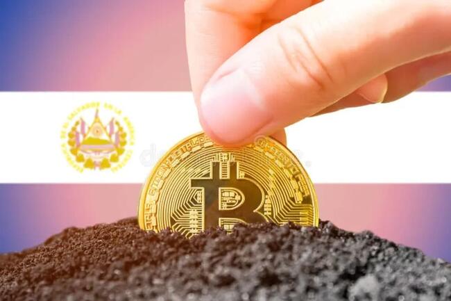 Bitcoin en Latinoamérica: Transformación Digital desde El Salvador hasta Guatemala