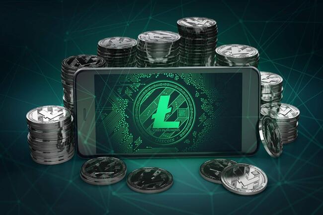 Litecoin-Investoren sind ausdauernd: Sie halten ihre Assets fast zweieinhalb Jahre