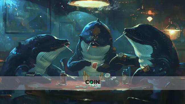 Bitcoin steigt auf 26-Monats-Hoch: Wale kaufen und kaufen