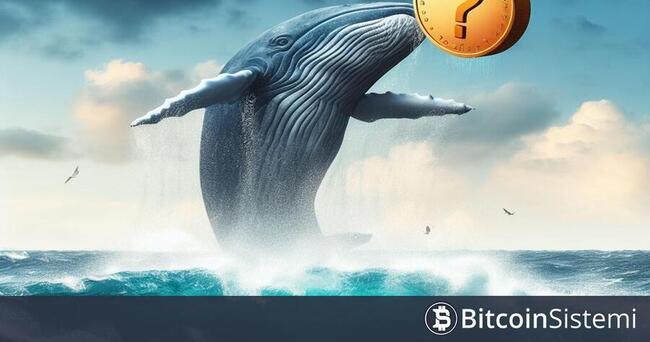 Nansen: Bitcoin 60.000 Doları Geçerken Balinalar En Çok Bu Altcoinleri Aldı!